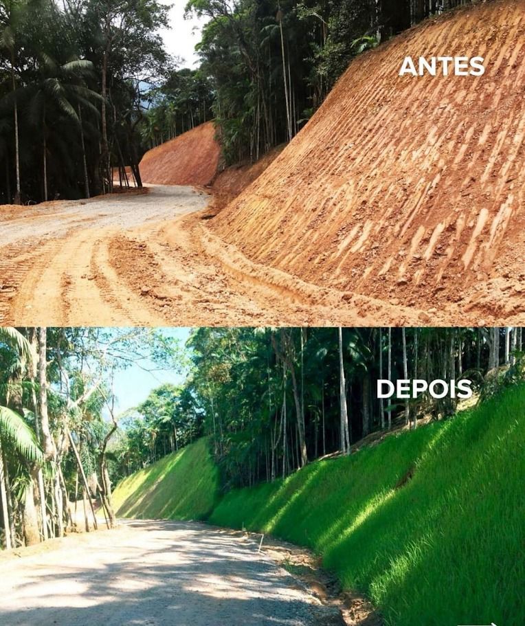 aplicacaoGrama
